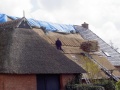 Stelpboerderij, klik voor meer.